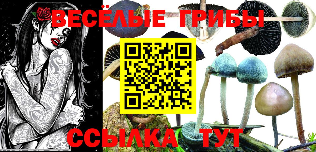 Рыбинск  Псилоцибиновые грибы мицелий  Вход с VPN 