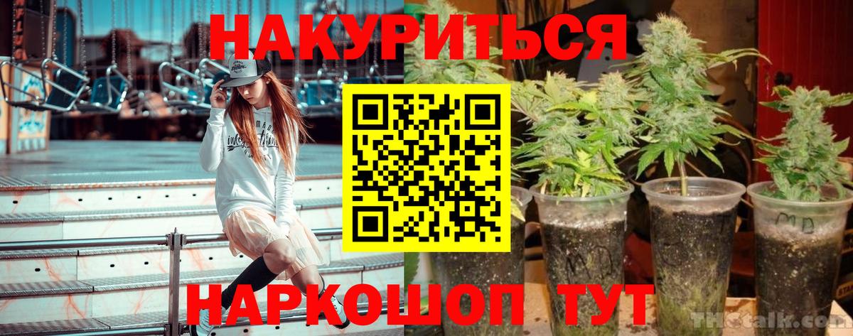 Бошки Шишки марихуана Рыбинск